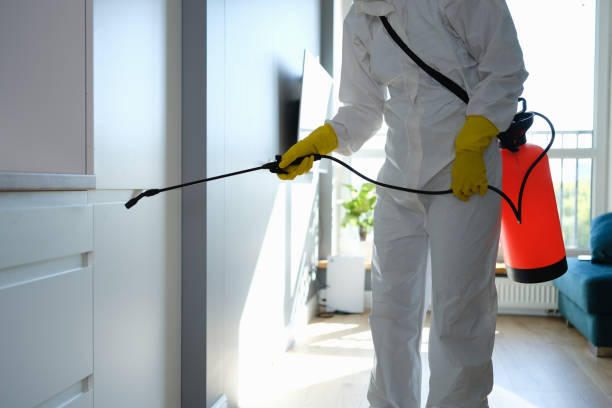 Professional Mold Removal in Kutztown University, PA