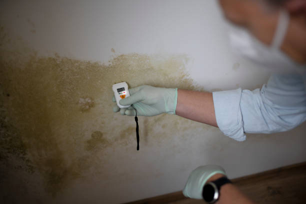 Mold Removal Process in Kutztown University, PA