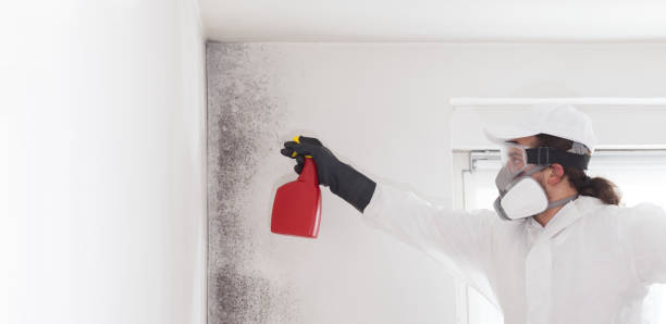 Best Residential Mold Removal  in Kutztown University, PA